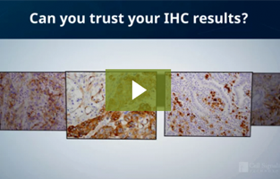 您能否相信自己的免疫组织化学 (IHC) 实验结果？
